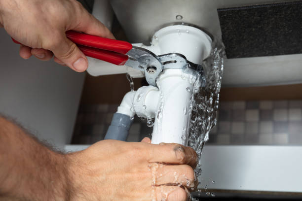 Best Local water damage restoration  in Basalt, CO