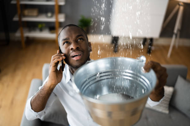 Best Water damage restoration near me  in Basalt, CO