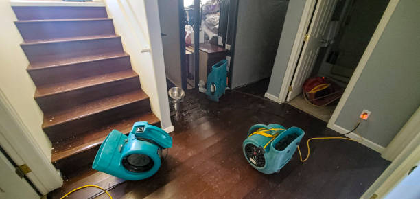 Best Emergency water damage restoration  in Basalt, CO
