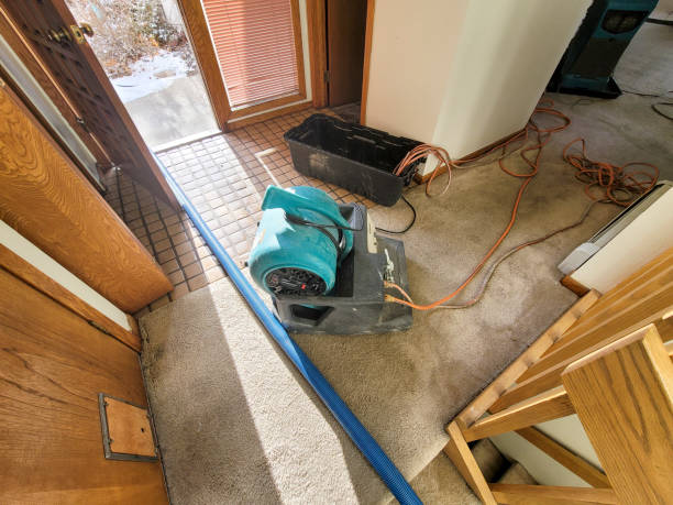 Trusted Basalt, CO Water damage restoration Experts