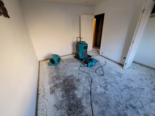 Best Ceiling water damage repair  in Basalt, CO