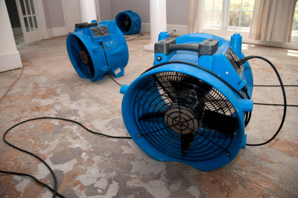 Best Mold removal after water damage  in Basalt, CO