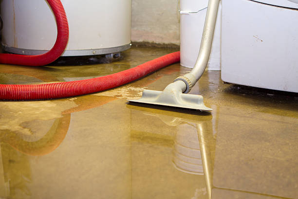 Best Sewage cleanup and water damage restoration  in Basalt, CO