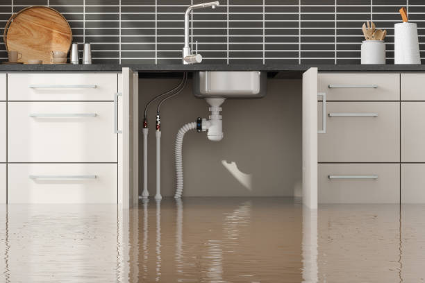 Best 24/7 water damage repair  in Basalt, CO
