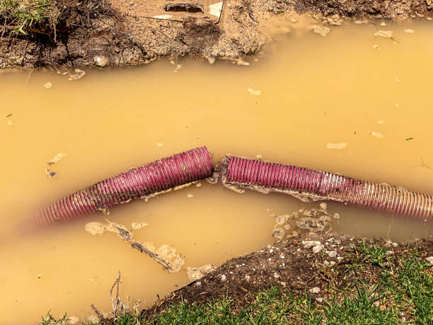 Best Mold removal after water damage  in Basalt, CO