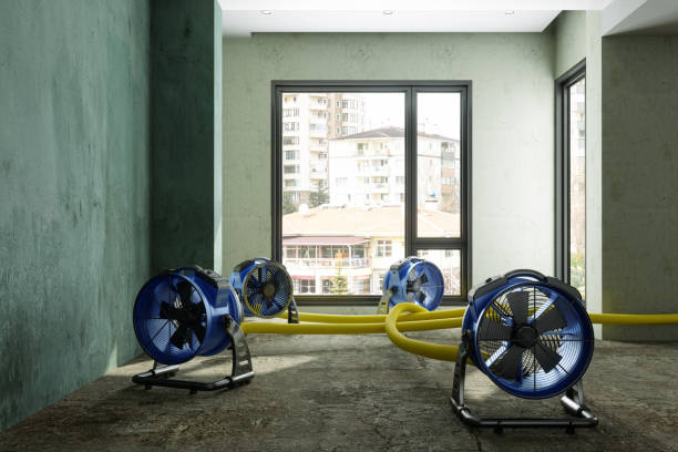 Best Residential water damage restoration  in Basalt, CO