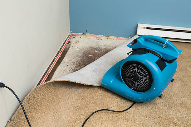 Best 24-hour water damage restoration  in Basalt, CO